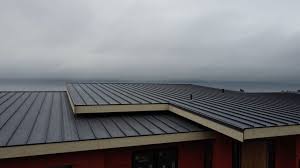 Best Roof Ventilation Installation  in Chelsea Cove, NY